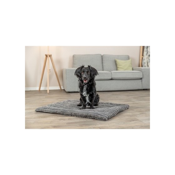 Trixie - Ligmat Lonni Ribfluweel, Grijs. 50x35cm