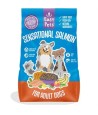 Easypets - Adult Sensational Salmon Graanvrij. 2kg