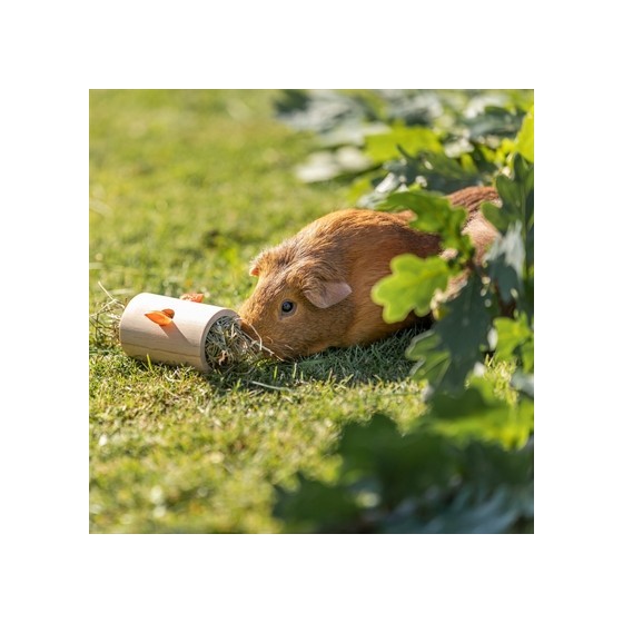 Trixie - Snack Roll Hout Onbehandeld. 6x6x11cm