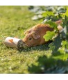 Trixie - Snack Roll Hout Onbehandeld. 6x6x11cm