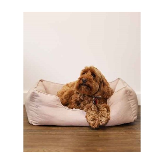 Rosewood - 40 Winks Hondenmand Thin Twill Beige 61x46x20cm