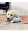 Kong - Ziggies Enhanced Puppy M/L. 227gr