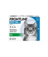 Frontline - Kat Spot On. 2-10kg 3pip