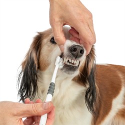 Trixie - 3-Koppige Tandenborstel Hond / Kat Wit / Grijs 18cm