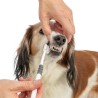 Trixie - 3-Koppige Tandenborstel Hond / Kat Wit / Grijs 18cm
