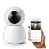 Numaxes - Eyenimal Pet Vision Camera