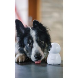 Numaxes - Eyenimal Pet Vision Camera