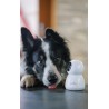 Numaxes - Eyenimal Pet Vision Camera