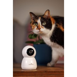 Numaxes - Eyenimal Pet Vision Camera