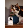 Numaxes - Eyenimal Pet Vision Camera