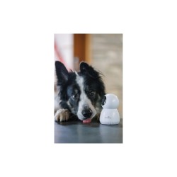 Eyenimal - Pet Vision Full HD Camera