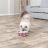 Trixie - Cat Activity Hide'n'sniff Bowl Kunststof. 18x18cm
