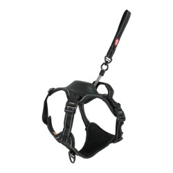 ZOLUX EASYRIDE HONDENTUIG...