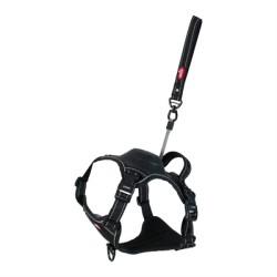 ZOLUX EASYRIDE HONDENTUIG...