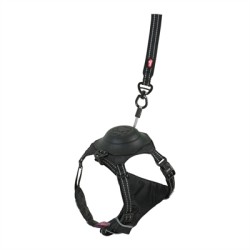 ZOLUX EASYRIDE HONDENTUIG...