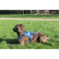 ZOLUX EASYRIDE HONDENTUIG BLAUW