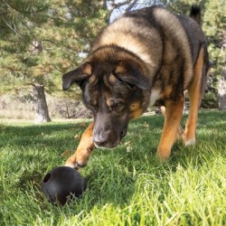 KONG EXTREME BAL MET GAT ZWART