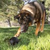 KONG EXTREME BAL MET GAT ZWART