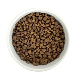 BPF - Premium Quality Kitten. 1kg