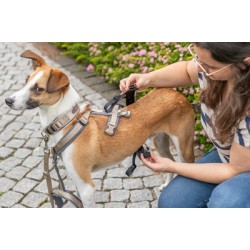 TRIXIE PANIEKADAPTER STAY VOOR TUIGEN ZWART