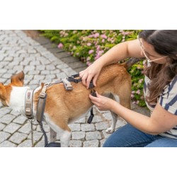 TRIXIE PANIEKADAPTER STAY VOOR TUIGEN ZWART