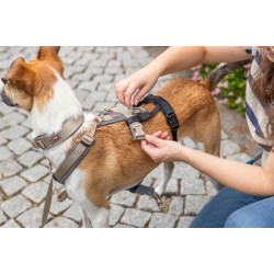 TRIXIE PANIEKADAPTER STAY VOOR TUIGEN ZWART