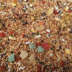 HARECO PYRRHURA SELECT...