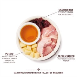 LILY'S KITCHEN CAT ADULT CHICKEN CASSEROLE