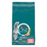 PURINA ONE ADULT ZALM / VOLKOREN GRANEN