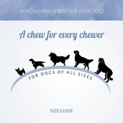 ANTOS JERKEY STRIPS KIP