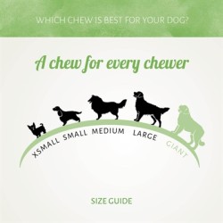 I AM DUCK D'LIGHT RAWHIDE