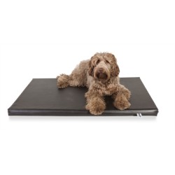 Bia Bed - Matras Orthopedisch Ligbed, Zwart 73x50cm