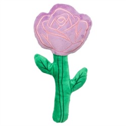 TRIXIE ROOS VALENTIJN...