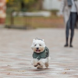 Trixie - Hondenjas Winter Explore Thermo Olijfgroen, 62cm