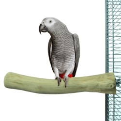 Back Zoo - Nature Java Perch, 30x3-4cm