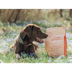 Buddy - Chicken Lamb Feast. 2kg